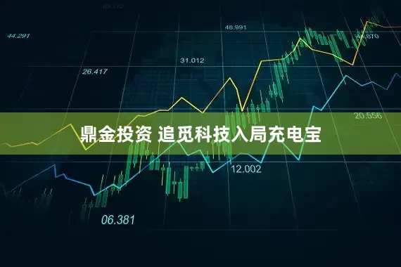 鼎金投资 追觅科技入局充电宝